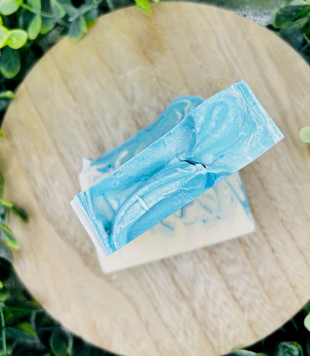 Cactus & Sea Salt Tallow Goat Milk Soap