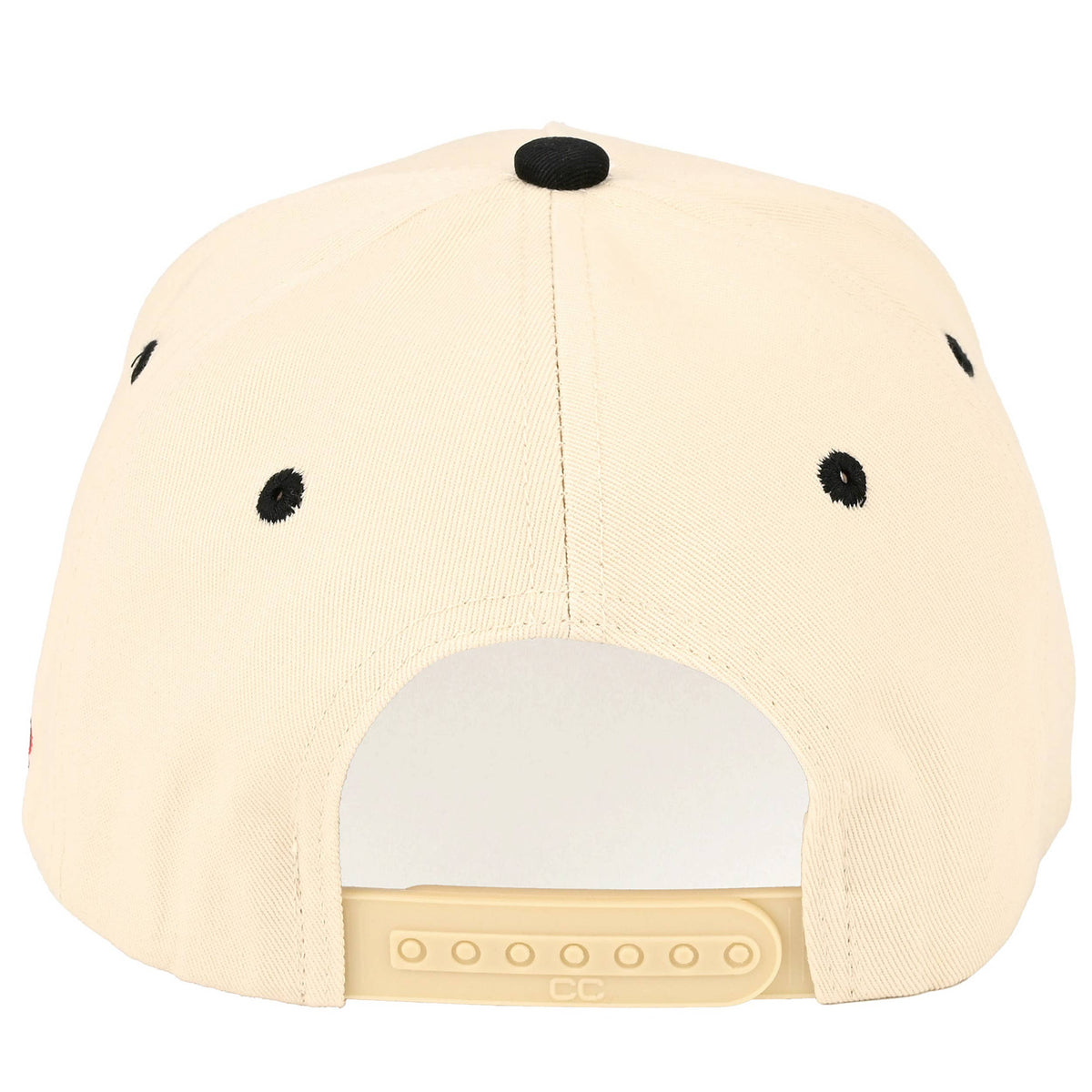 Born to yap embroidered hat