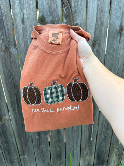 Hey there pumpkin embroidered shirt