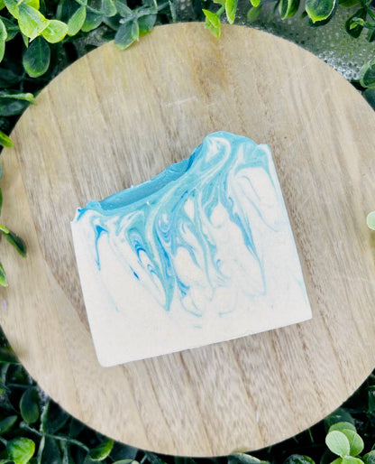 Cactus & Sea Salt Tallow Goat Milk Soap