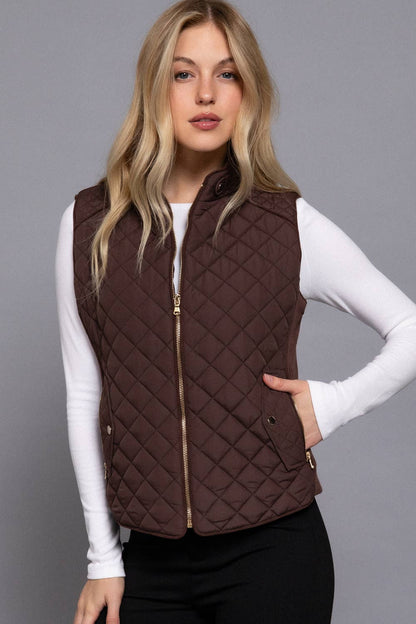 Black or Brown Vest